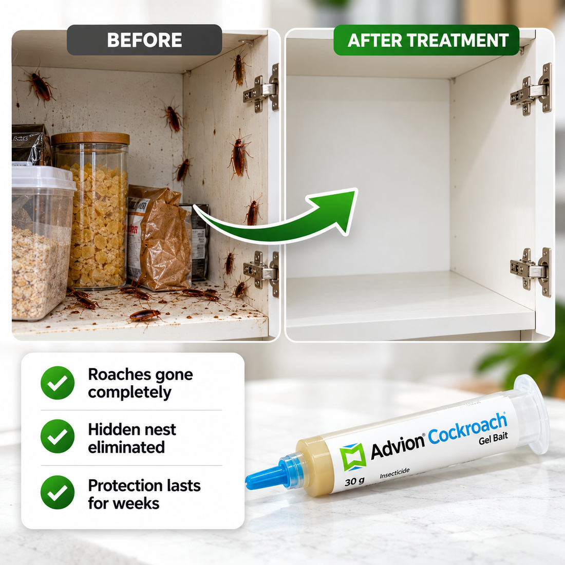 Advion Cockroach Gel 30g UAE | Cockroach Bait | Roachora