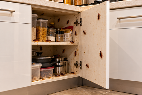 Cabinets
