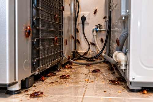 Behind appliances