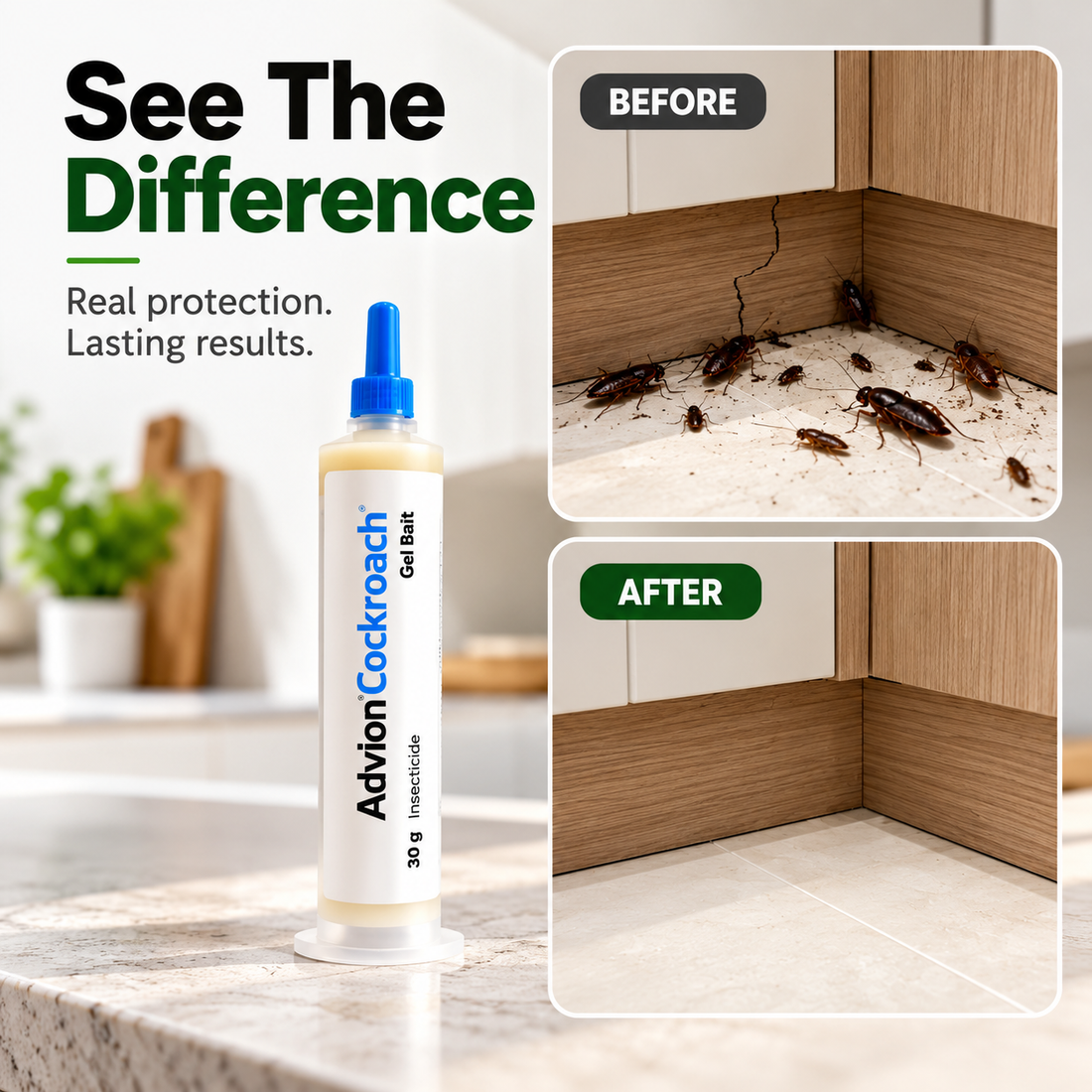Advion Cockroach Gel 30g UAE | Cockroach Bait | Roachora
